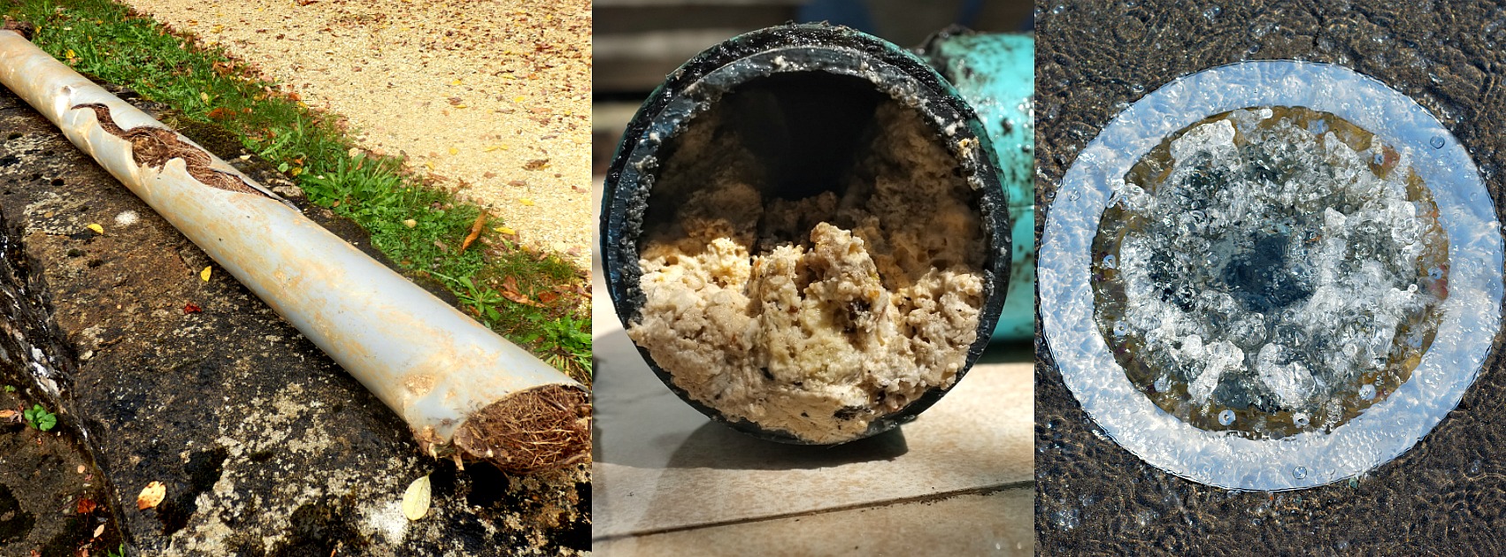 3 Warning Signs of a Clogged Sewer Line - Rodger's Plumbing